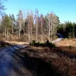 Grusväg och backe mot Strandbo